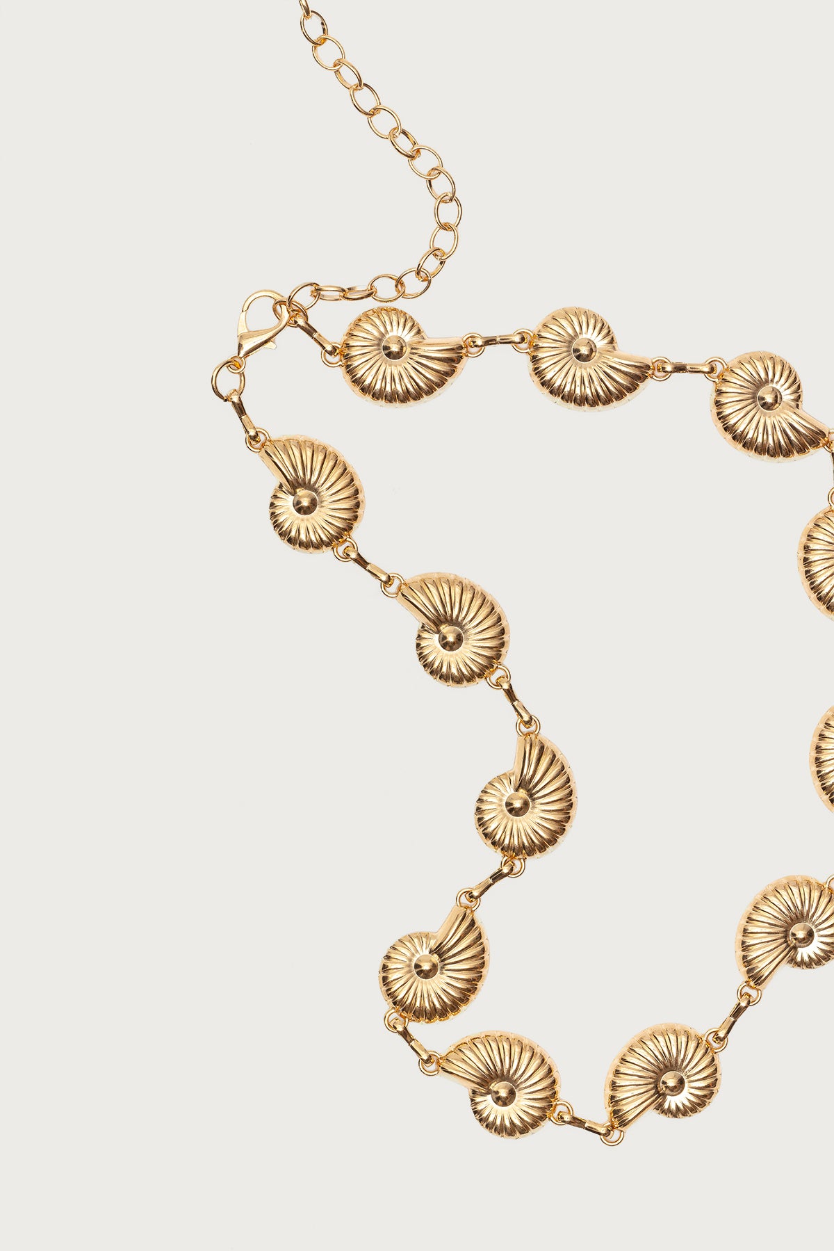 Coastal Chain Belt - Image 3