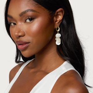 Iridescent Charm Dangling Earrings