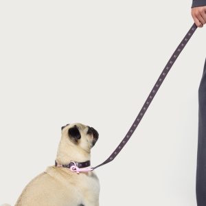 Bonney Bow Pet Leash
