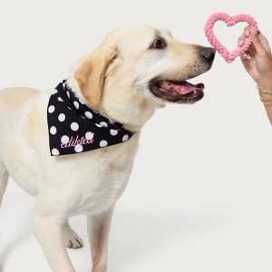 Fetching Heart Rope Toy