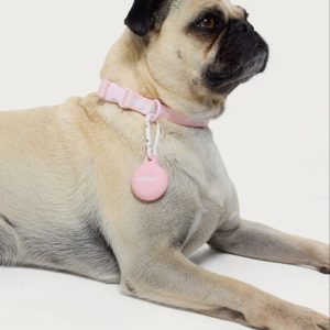 Edikted GPS Tag Holder