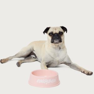 Bone Appetit Pet Bowl