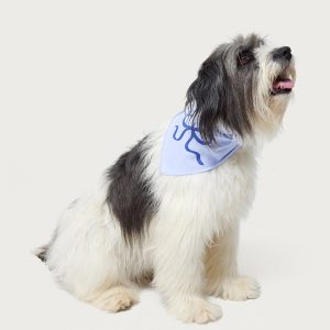 Bonney Bow Pet Bandana